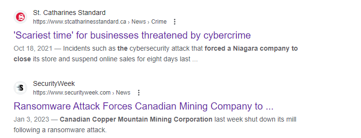 Cyberattacks shut down Niagara Businesses